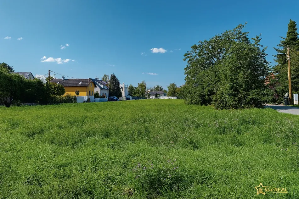 AKTION HAUS 1