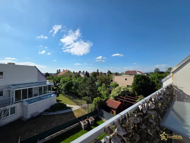 Ausblick