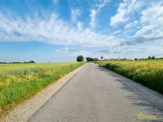 hinter dem Haus
