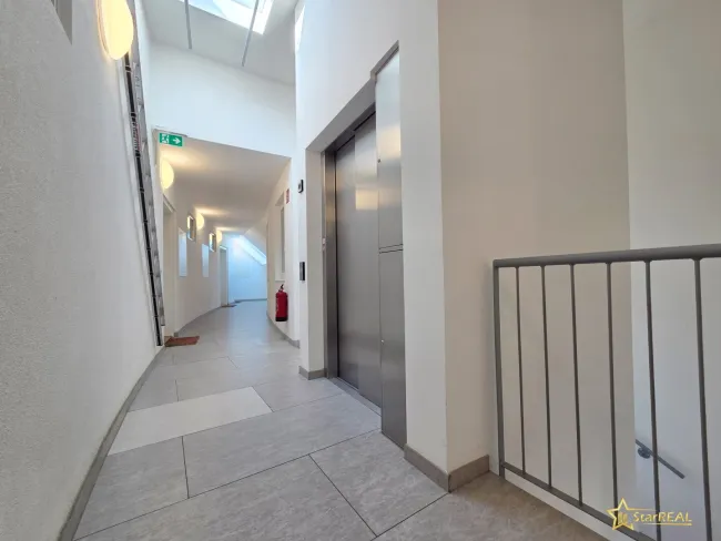Allgemeinfläche