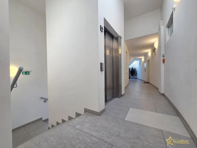 Allgemeinfläche