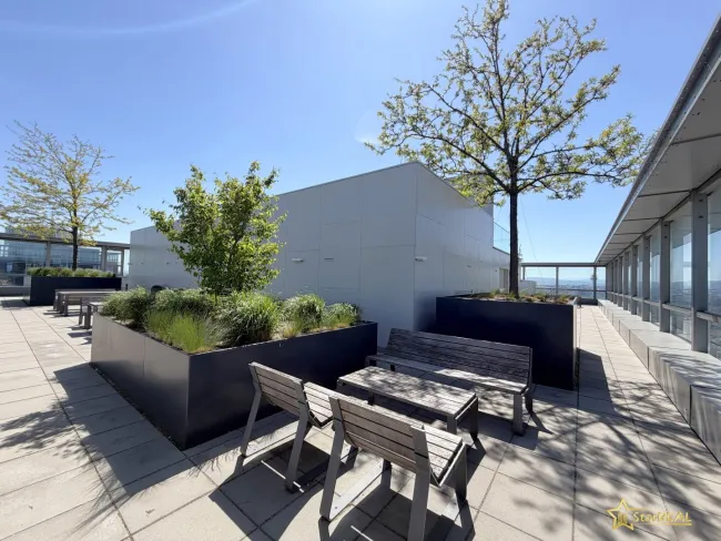 Dachterrasse