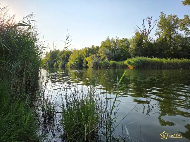 Mühlwasser