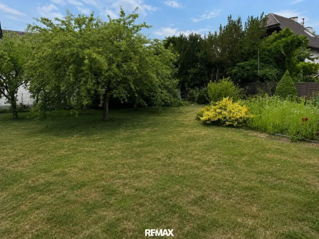 Garten in Richtung Nord