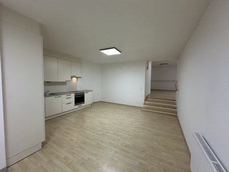 Großzügiges Büro mit Terrasse in 2100 Korneuburg