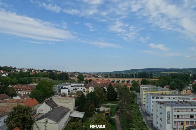 Blick ins Grüne
