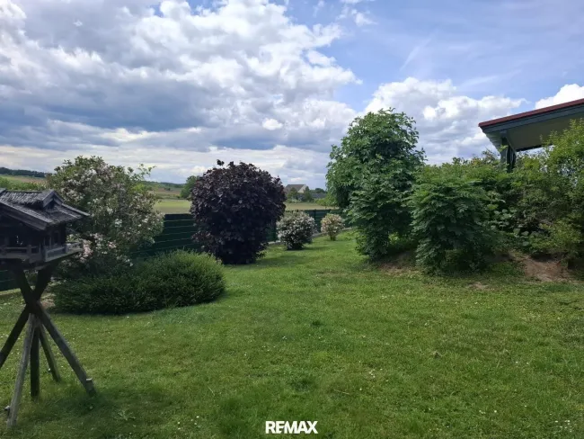 Garteneindrücke