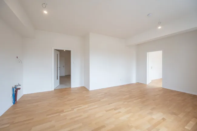 2-Zimmer-Wohnung mit großflächiger Terrasse in 2232 Deutsch-Wagram! - Bild