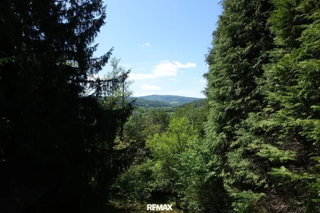 Aussicht vom Haus