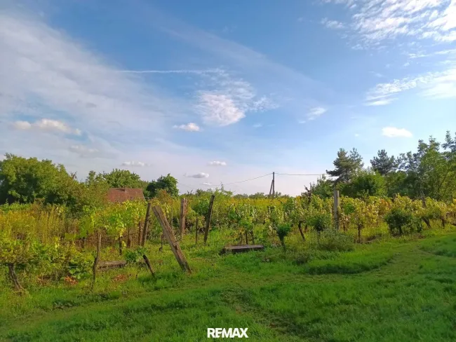 Insel der Ruhe: Großes Freizeitgrundstück in Csehimindszent (Ungarn) - Titelbild
