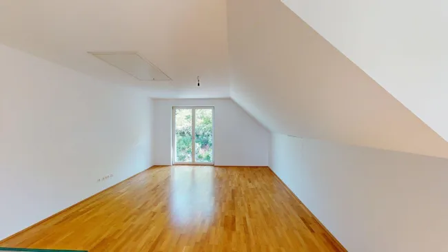 Zimmer DG
