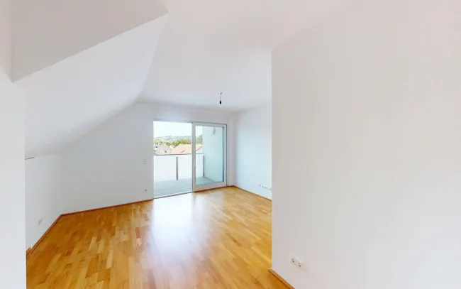 Zimmer DG