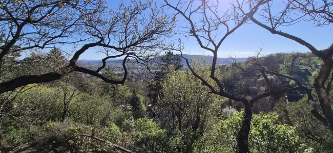 Fernblick
