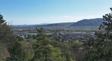 Fernblick
