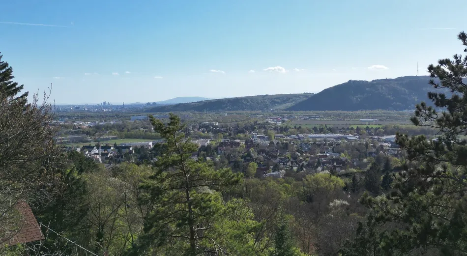 Fernblick