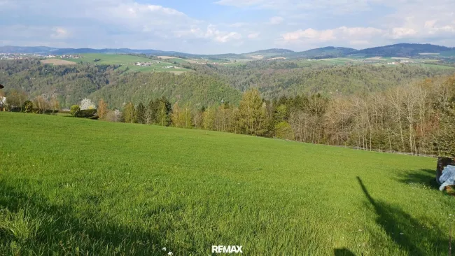Grundstück (1)
