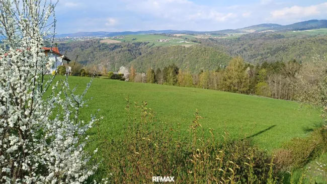 Grundstück (1)