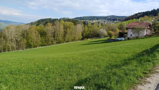 Grundstück (5)