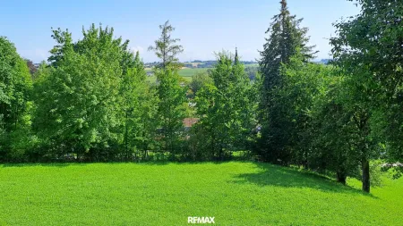 6 Im Grünen über der Stadt