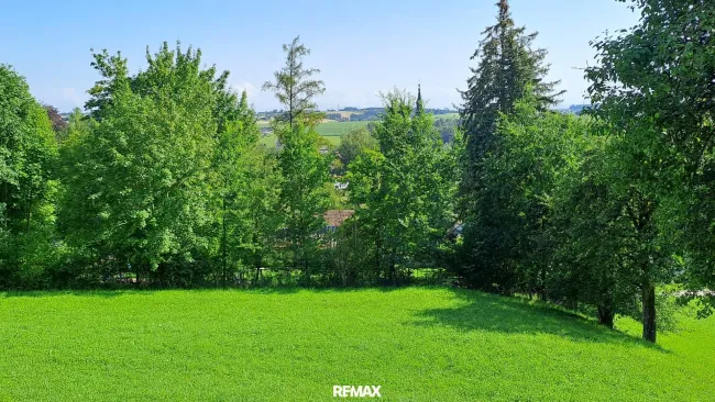 6 Im Grünen über der Stadt