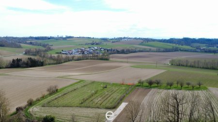 4,2 ha Ackerland in Straßham (nähe Alkoven) zu verkaufen!