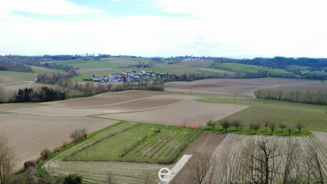 4,2 ha Ackerland in Straßham (nähe Alkoven) zu verkaufen! - Titelbild