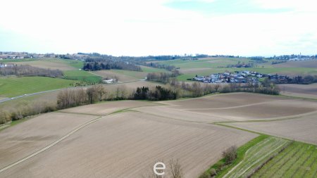 4,2 ha Ackerland in Straßham (nähe Alkoven) zu verkaufen!