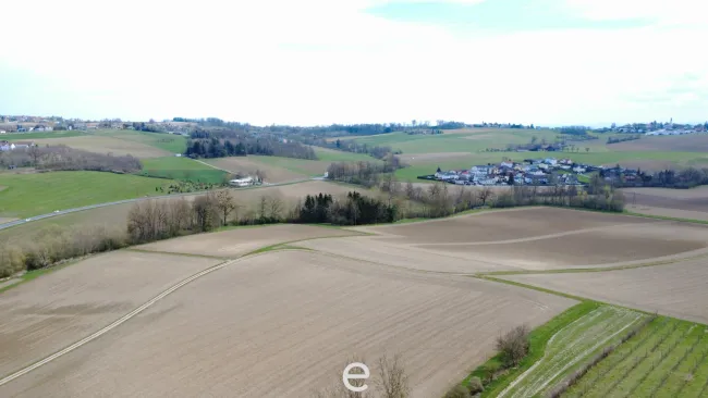 4,2 ha Ackerland in Straßham (nähe Alkoven) zu verkaufen! - Bild