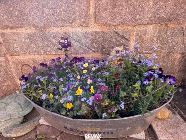 6_Garten