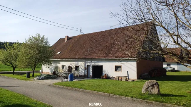 Sacherl (1)