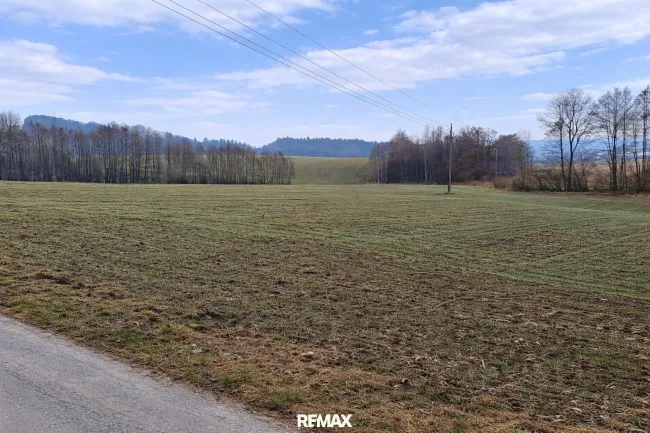 landw. Grundstück (4)