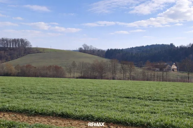 landw. Grundstück (1)