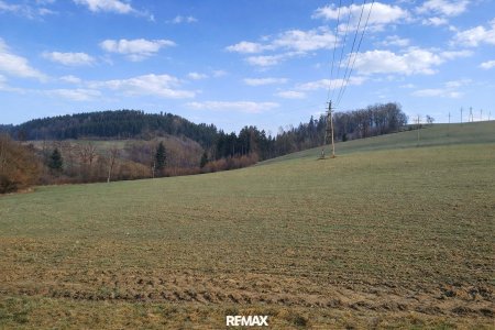 landw. Grundstück (2)