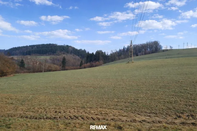 landw. Grundstück (1)