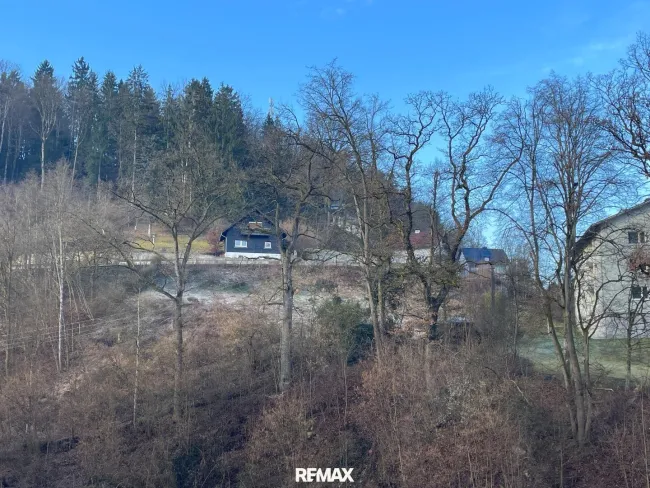 1_Grundstück