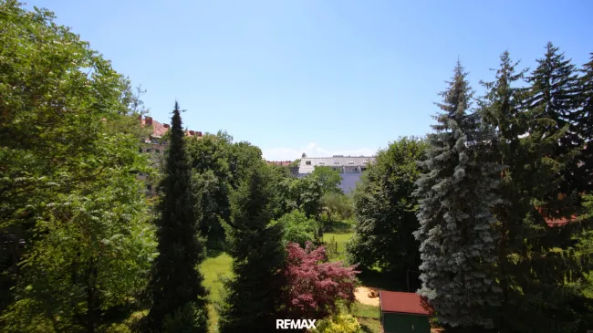 Ausblick ins Grüne