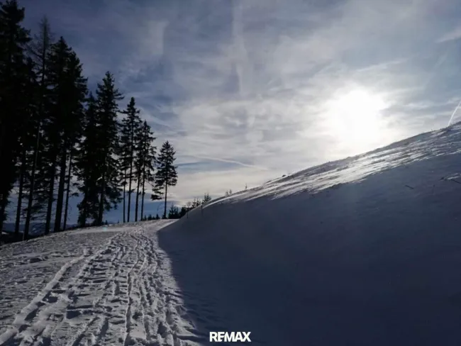 Landschaft