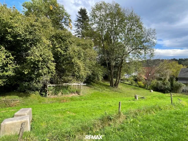 Blick von der Zufahrtsstraße
