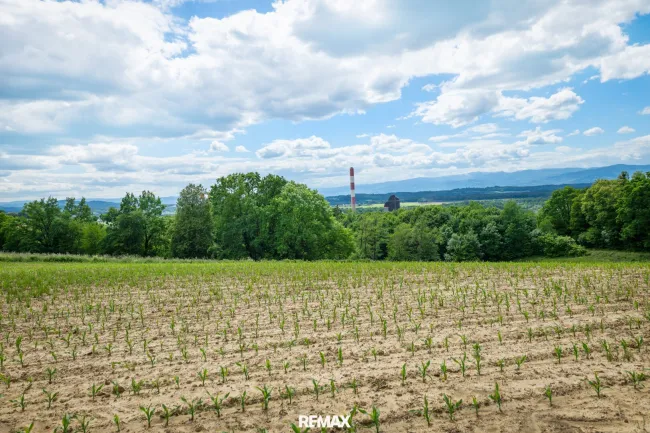 Südblick Grundstück