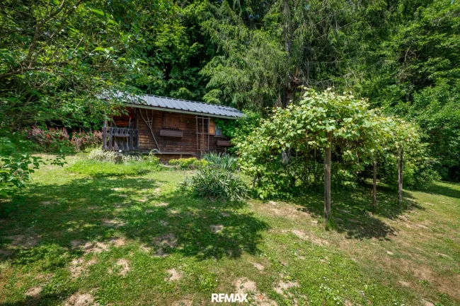 Garten mit Gerätehaus