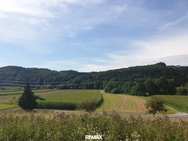 Grundstück