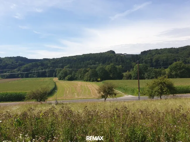 Grundstück
