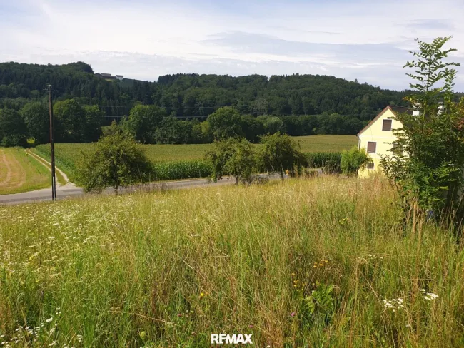 Grundstück