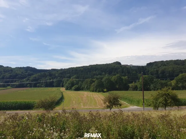 Grundstück