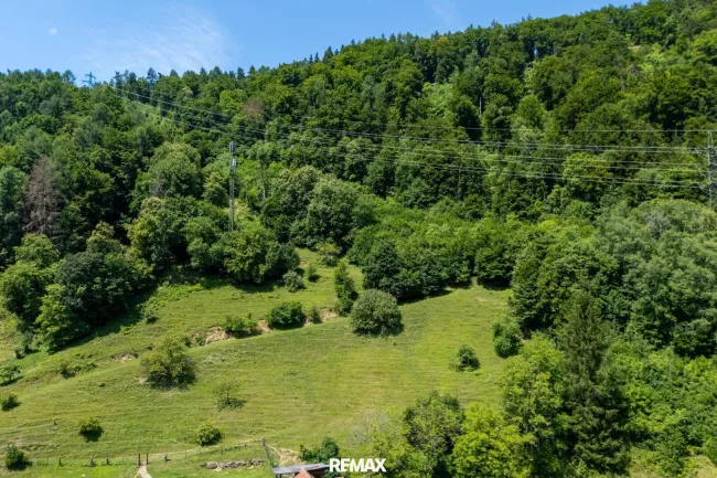 Waldfläche