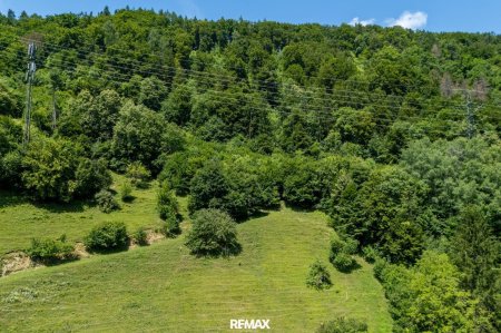 Waldfläche
