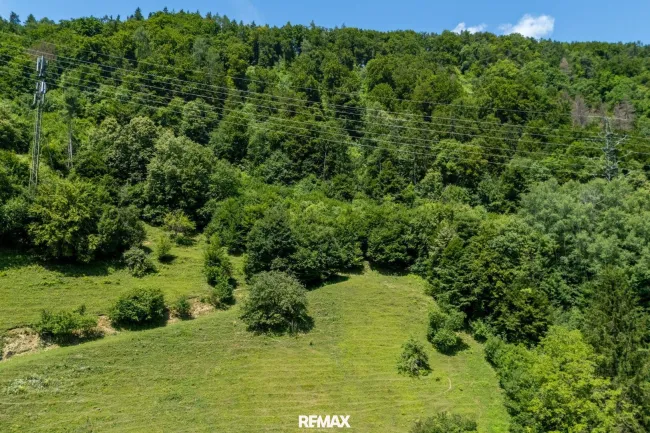 Waldfläche