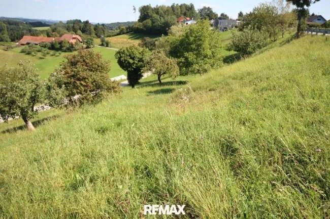 Ansicht