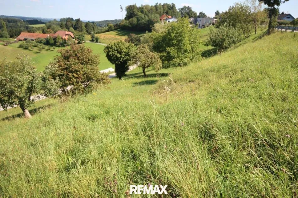 Ansicht