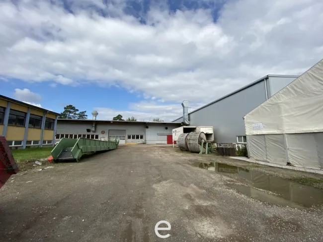 Beheizbare Lagerhalle mit rd. 7 bis 9 Meter Hallenhöhe, diversen Krananlagen, Freiflächen etc. in Asten zu vermieten! - Bild
